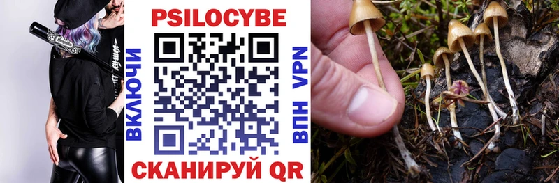 Галлюциногенные грибы Psilocybine cubensis  shop Telegram  Тавда  omg сайт 