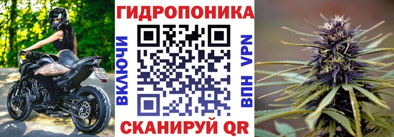 цены   Тавда  Канабис MAZAR 